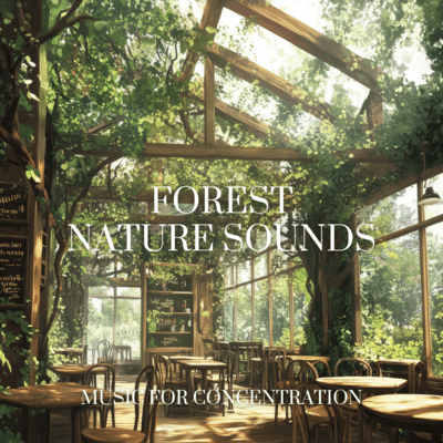Forest Calm: Relax and Study Front Cover