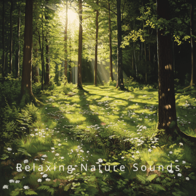 Tranquil Nature: Peaceful Soundscapesのジャケット写真