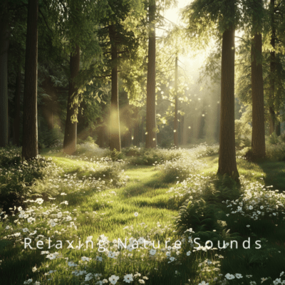 Serenity of Nature: Sleep-Inducing Sounds Front Cover