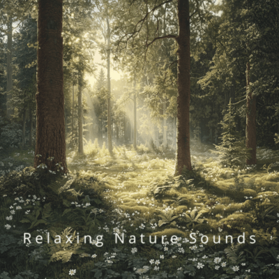 Nature Dreams: Healing Sounds for Relaxation Front Cover