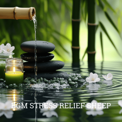 Calm Sheep: Relaxing Melodies for Stress Relief Front Cover