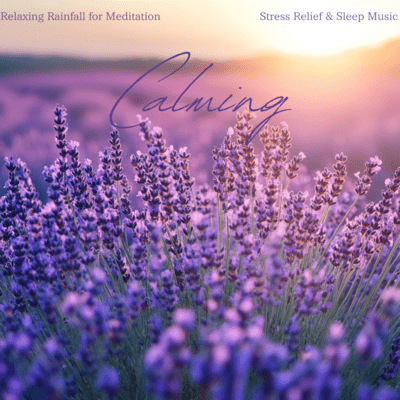 Relaxing Rainfall for Meditation ~ Stress Relief & Sleep Music Front Cover