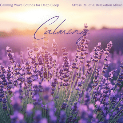 Calming Wave Sounds for Deep Sleep ~ Stress Relief & Relaxation Music Front Cover