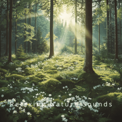 Ocean Waves: Soothing Sounds for Serenity Front Cover