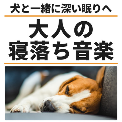 Adult's Sleep Music - Into Deep Sleep with My Dog Front Cover