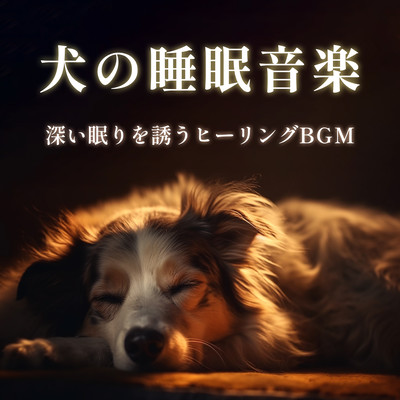 Dog Sleep Music - Healing BGM to Induce Deep Sleep Front Cover