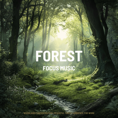 Woodland Concentration: Peaceful Forest Ambience for Work Front Cover