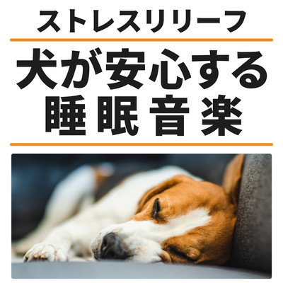 Stress Relief & Sleep Music for Dogs Front Cover