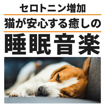 Increases serotonin levels and soothes cats to sleep Front Cover