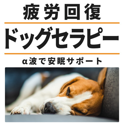 Fatigue recovery dog therapy Alpha waves help Front Cover