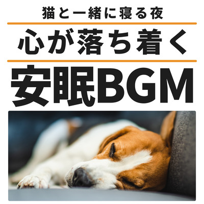 Sleeping with a Cat - Calming BGM for a good night's sleep Front Cover