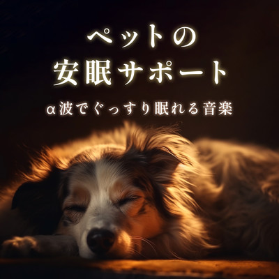 Supporting your pet's sleep - Alpha wave music for a good night's sleep Front Cover