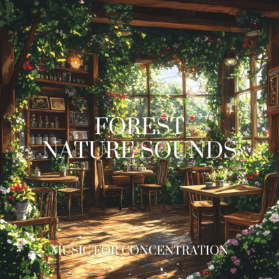 Tranquil Forest: Calming Sounds for Concentration Front Cover