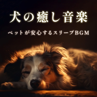 Relaxing Music for Dogs - Sleep BGM that makes your pet feel safe Front Cover