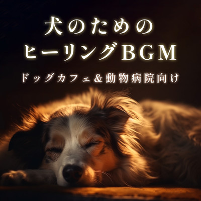 Healing BGM for dogs - For dog cafes and veterinary clinics Front Cover