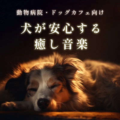 For veterinary clinics and dog cafes - Relaxing music for dogs Front Cover
