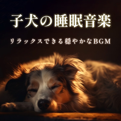 Puppy Sleep Music - Relaxing Calm BGM Front Cover