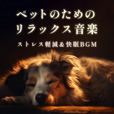 Relaxing Music for Pets - Stress Relief & Sleep Music Front Cover