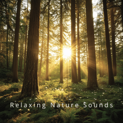 Dreamy Nature: Sounds for Peaceful Sleep Front Cover