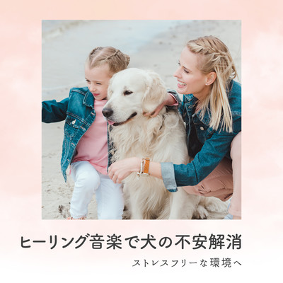 Healing music to relieve dog anxiety - Creating a stress-free environment Front Cover