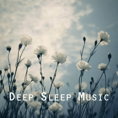 The Best 50 Sleep Songs to Calm Your Mind at Night Front Cover