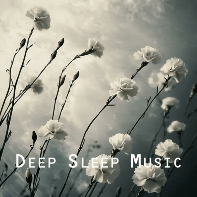 Sleep Music Essentials - 50 Tracks for Better Sleep Front Cover