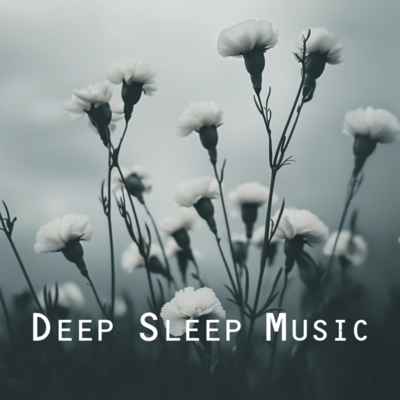 50 Gentle Sleep Songs to Help You Fall Asleepのジャケット写真