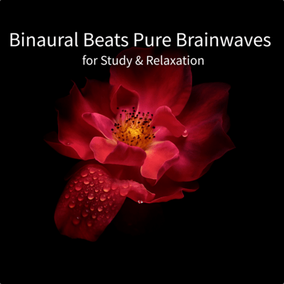 Binaural Beats Pure Brainwaves for Study & Relaxation Front Cover