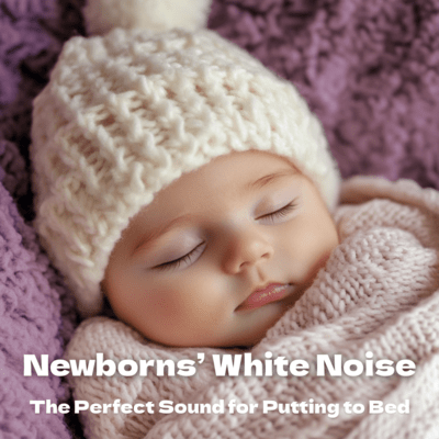 Newborns' White Noise The Perfect Sound for Putting to Bed Front Cover