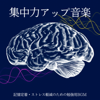 Study music: Music to improve concentration and consolidate memory and reduce stress Front Cover