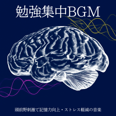 Study Concentration BGM: Music that stimulates the prefrontal cortex to improve memory and reduce stress Front Cover