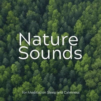 Nature Sounds for Meditation Sleep and Calmness Front Cover