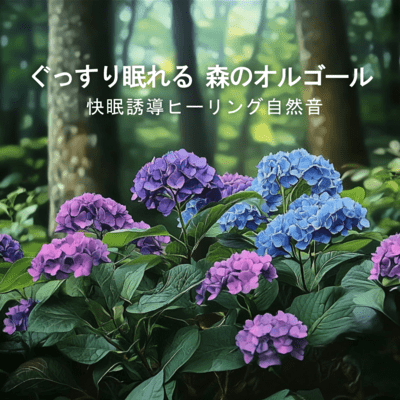 Deep Sleep Forest Music Box - Healing Nature Sounds for Better Sleep Front Cover