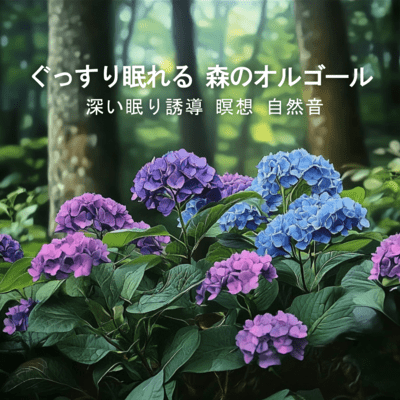 Deep Sleep Forest Music Box - Deep Sleep Induction Meditation Nature Sounds Front Cover