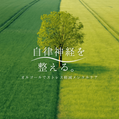 Soothe Your Mind and Reduce Stress with Music Box Sounds: Support for a Balanced Nervous System Front Cover