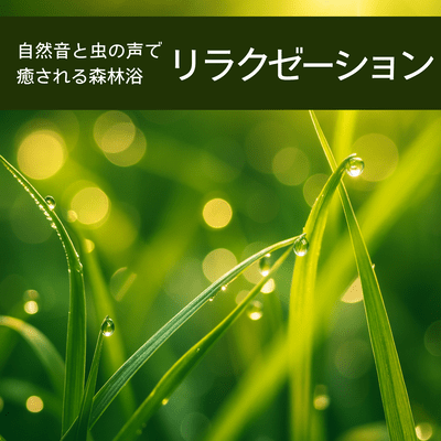 Forest Relaxation with Natural Sounds and Insect Chirping Front Cover