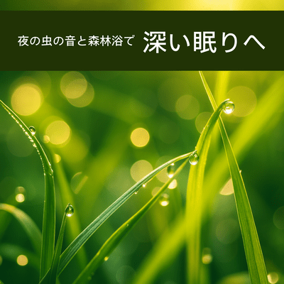 Deep Sleep with Night Insect Sounds and Forest Bathing Front Cover