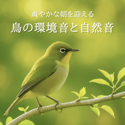 Refreshing Morning with Bird Ambient Sounds and Nature Sounds Front Cover