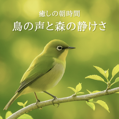 Healing Morning Time with Birdsong and Forest Calm Front Cover