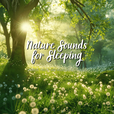 Nature Sounds for Sleeping: Tranquil Forest and Mountain Sleep Music Front Cover