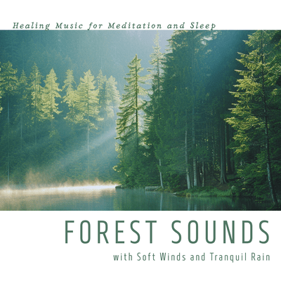 Forest Sounds with Soft Winds and Tranquil Rain: Healing Music for Meditation and Sleep Front Cover
