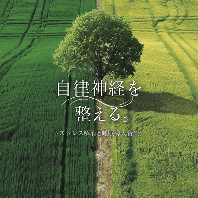 Balance Your Autonomic Nervous System. ~ Stress Relief and Sleep Induction Music ~ Front Cover