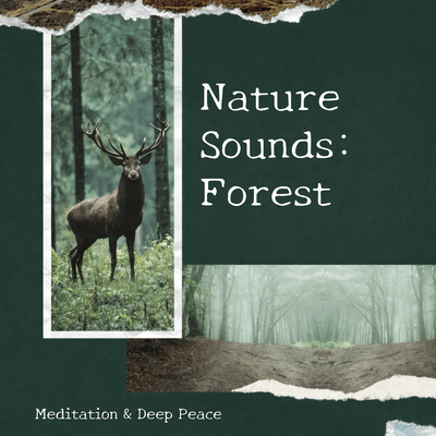 Nature Sounds: Forest Meditation & Deep Peace Front Cover