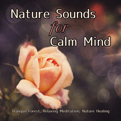 Nature Sounds for Calm Mind: Tranquil Forest, Relaxing Meditation, Nature Healing Front Cover