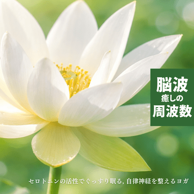 Healing Brainwave Frequencies - Sleep Soundly with Serotonin Activation, Yoga to Balance the Autonomic Nervous System Front Cover