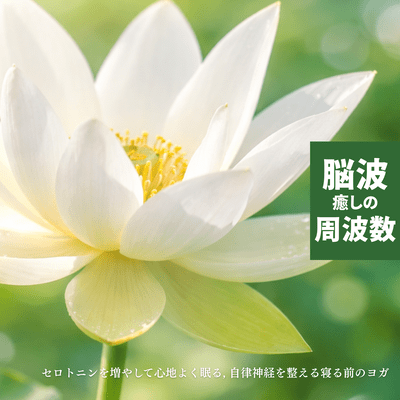 Healing Brainwave Frequencies - Increase Serotonin for Pleasant Sleep, Pre-Sleep Yoga to Balance the Autonomic Nervous System Front Cover