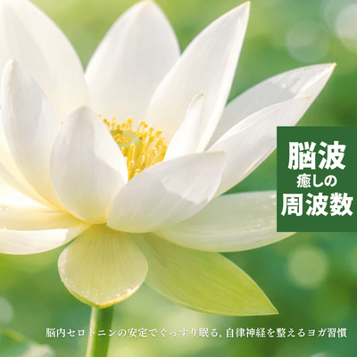 Healing Brainwave Frequencies - Sleep Soundly with Stable Brain Serotonin, Yoga Habits to Balance the Autonomic Nervous System Front Cover