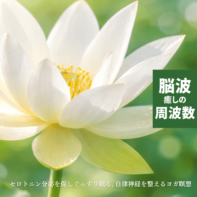 Healing Brainwave Frequencies - Promote Serotonin Secretion to Sleep Soundly, Yoga Meditation to Balance the Autonomic Nervous System Front Cover