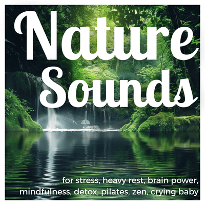 30Minute HEALING SLEEP SOUNDS Summer Field for Dreaming and Nervous System Calm Front Cover