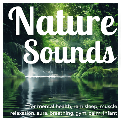 30Minute HEALING SLEEP SOUNDS Winter Wind for Cozy Solitude and Emotional Healing Front Cover